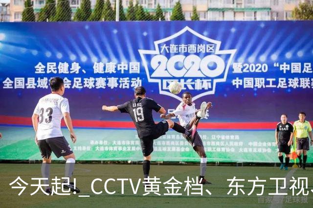 今天起! CCTV黄金档、东方卫视、腾爱将播4部大剧, 阵容不错, 追哪部